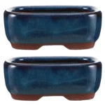 2pcs Ceramic Flower Pots